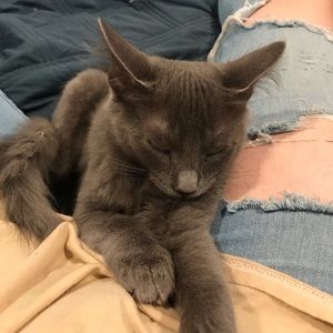 Meet your Posher, Andrea